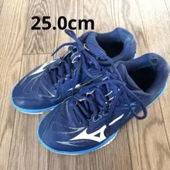 【新品未使用】ウエーブクロープロ/23.0/ミズノバドミントンシューズ バドミントンシューズ 限定 MIZUNO ウェーブクロープロ23センチ