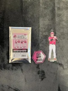 Item thumbnail for item 694bd2e2-3dc5-4f1d-8476-c0baaf84ffa6