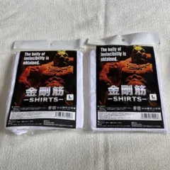 Item thumbnail for item 035d68a8-84e4-44f5-ac65-7dd0592ea62e