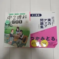 中2