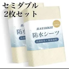 Item thumbnail for item 0aff3b30-7c3c-41bf-bb78-e960734845a8