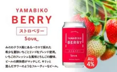 YAMABIKO BERRY ビール ブルーベリー＆ぶどう6本セット - メルカリ