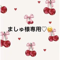 ましゅ様専用ページ♡