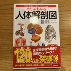 Item thumbnail for item 2df204ea-950c-4917-8d63-cfb38b9f144e