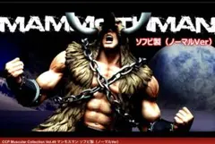 2026年最新】スパイスシードマンモスマンの人気アイテム - メルカリ