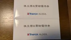 ヤマダホールディングス　株主優待 有効期限:2025.12月末 10000円分