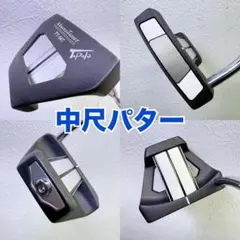 Item thumbnail for item 95c6d111-567b-46b1-b9ae-8a9724684cd7