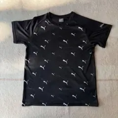 Item thumbnail for item 18cbe604-3bc7-4ec0-bf7d-011dfcc7764f