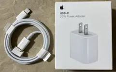 Apple USB-C 20W Power Adapter