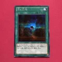 Item thumbnail for item 56e3f573-50df-4bec-abf0-512ef29fde00