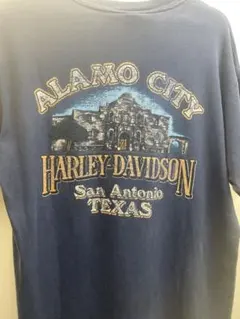 最終額90s HARLEY DAVIDSONライトニング サンダーブルーフレイム