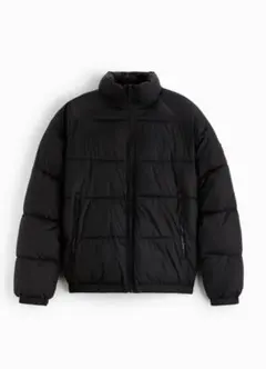 ZARAダウンジャケットdnwr