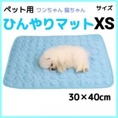 ペット用 ひんやりマット 水色 XS クールマット 犬 猫 軽量 速乾 丸洗い☆のサムネイル