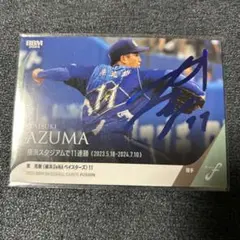 Item thumbnail for item 0ba86931-1f21-4f4e-95be-1d20771f5d86