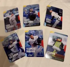 東京ヤクルトスワローズ 応援メシ カード