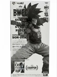 Item thumbnail for item 2fb00674-d6fd-4f39-9141-49b34ff0137d