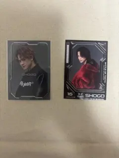 岩谷翔吾 フォトカセット