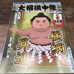 Item thumbnail for item 903bb11b-df54-4e1e-9ee8-0342d6da18e8