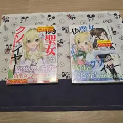 偽聖女クソオブザイヤー : 理想の聖女?残念、偽聖女でした! 　まとめ売り
