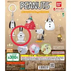PEANUTS めじるしアクセサリー FUNNY ver. スヌーピーB