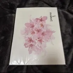 SnowMan パンフレット 3冊セット