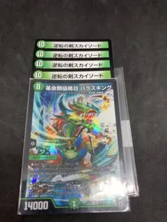 パラスキング１枚+a