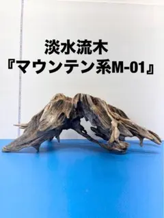 2026年最新】木製くじらの人気アイテム - メルカリ