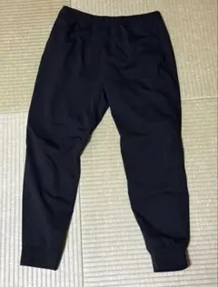 Item thumbnail for item 1a0511ba-ab12-4d1f-9ce4-a3be7bc48b25