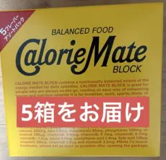 即日発送】カロリーメイト 5フレーバー アソートパック 20箱入り×5