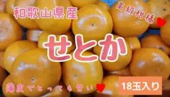 2026年最新】みかんキングの人気アイテム - メルカリ