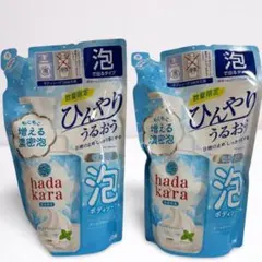 ハダカラ 泡で出てくるボディソープ ひんやりタイプ 詰替 420ml 2個のサムネイル