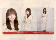 ひめたんの隠しミートボール様 リクエスト 2点 まとめ商品