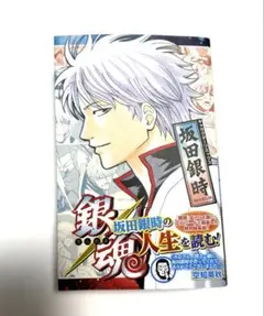 美品 銀魂 キャラクターリミックス 坂田銀時 空知英秋