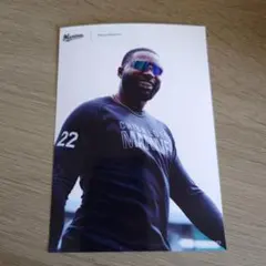 Item thumbnail for item 4339ecf1-8531-49f6-b6e4-6b6e7b2212dc