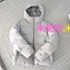 Item thumbnail for item 52e9477d-f6ef-4f33-b23c-b7622ee30742