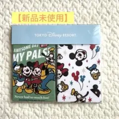 【未使用】東京ディズニーリゾート スタイ2枚セット