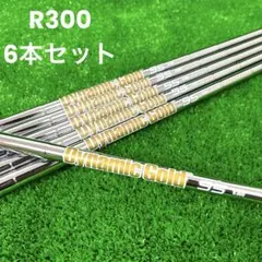 2026年最新】ダイナミックゴールドr300の人気アイテム - メルカリ