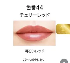 FANCL アクアセラムルージュ 色番44 チェリーレッドのサムネイル