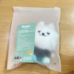 TXT PPULBATU プルバトゥ お座り ぬいぐるみキーリング　ヨンモン