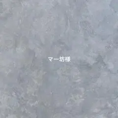 マー坊様専用ページです