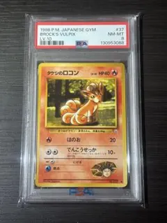 旧裏PSA8】 ポケカ タケシのサイホーン ポケモンジム第1弾 ニビシティ