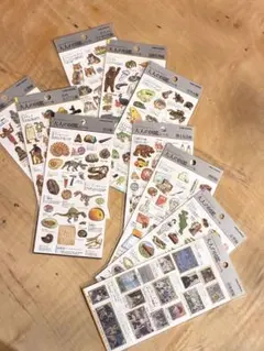 y*i様 大人の図鑑シール　10枚セット☆⭐︎レア⭐︎☆