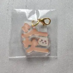 【未開封】シーサー　ちいかわ　東京みやげ　おなまえアクリルチャームミニ