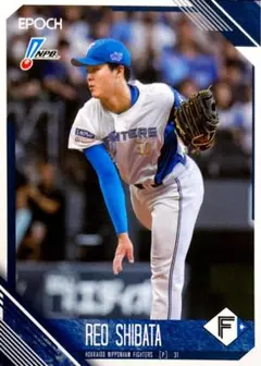 ファイターズ 】 柴田獅子 プロ初登板観戦証明書 - メルカリ