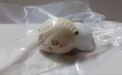 【匿名配送】ちいかわ もっちりころりん ラッコ