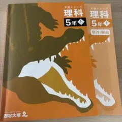四谷大塚テキスト５年　上下巻　理科基本事項ノート美品 四谷大塚 予習シリーズ 理科 5年上・下巻セット - メルカリ