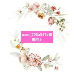 user_705a547e様 リクエスト 4点 まとめ商品