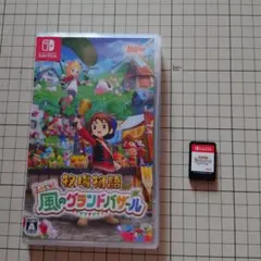 Switch 牧場物語 Let's!風のグランドバザール