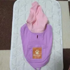 Item thumbnail for item 96cfd807-9169-4e6e-bc99-52f139b7089b