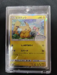 2026年最新】Pikachu : PROMO P [S-P 024](Pokemon Card Game Sword